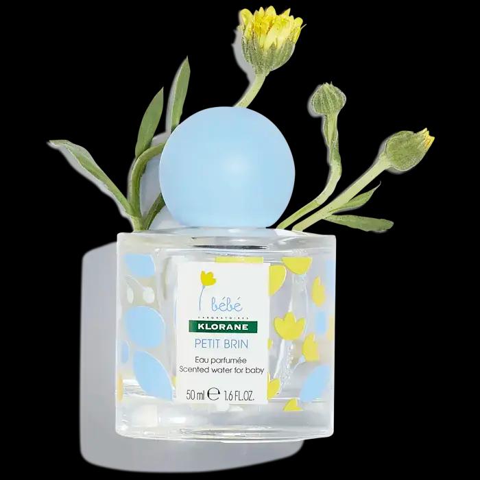 Klorane BEBE PETIT BRIN EAU PARFUMEE 50ML