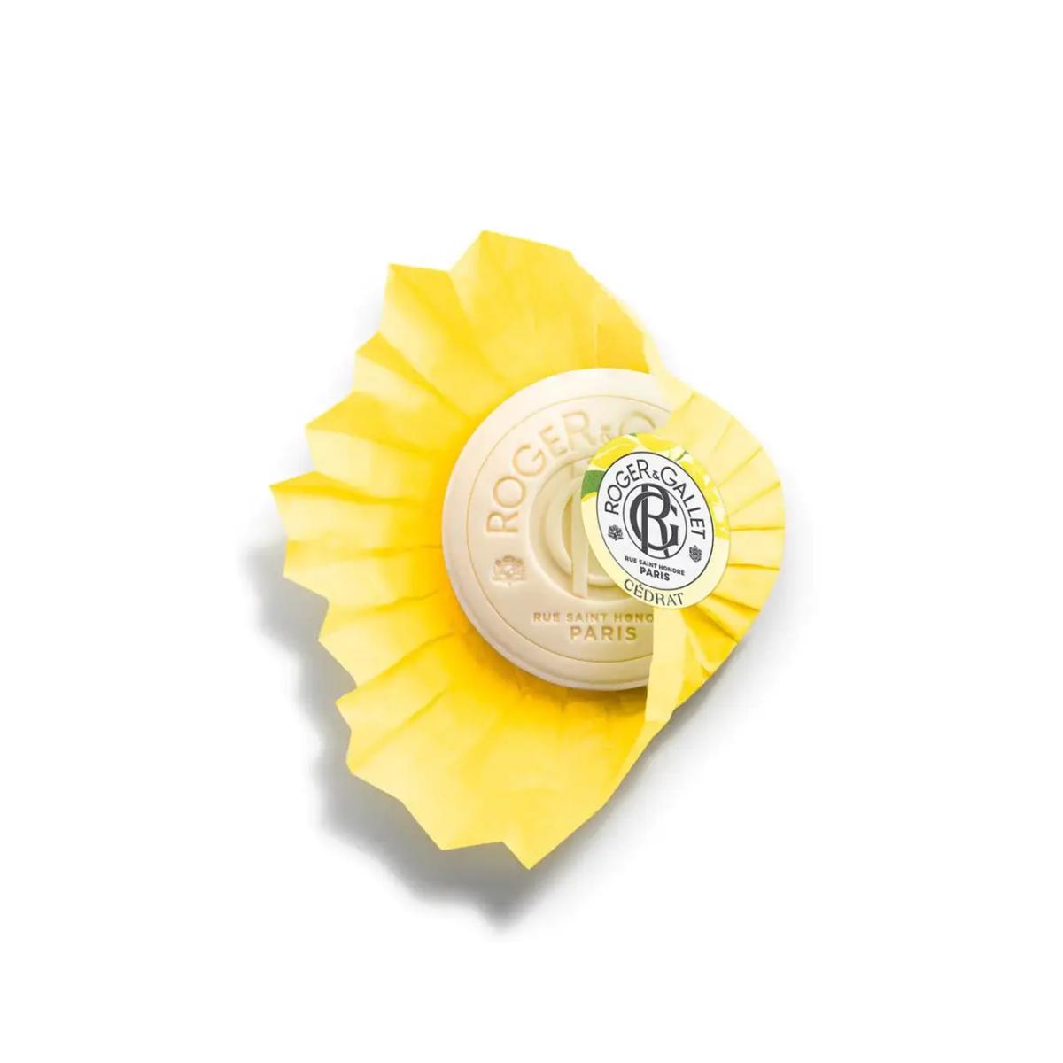 ROGER ET GALLET Savon Bienfaisant Cédrat 100 ml