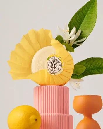 ROGER ET GALLET Savon Bienfaisant Cédrat 100 ml