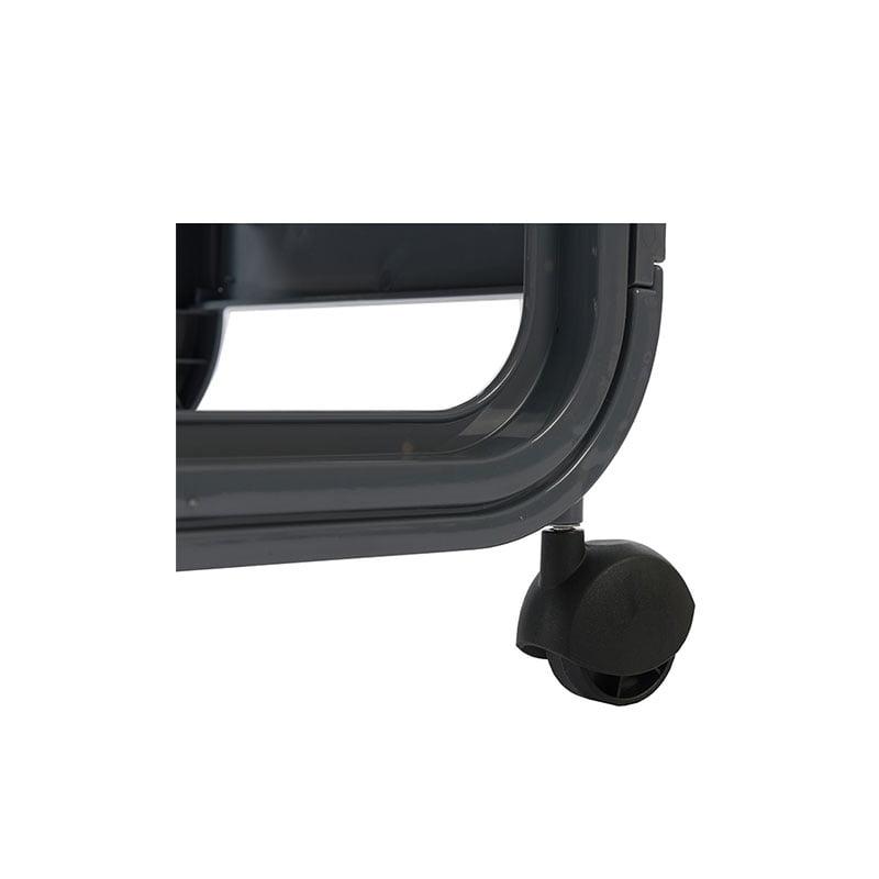 CHARIOT DE COLORATION N100