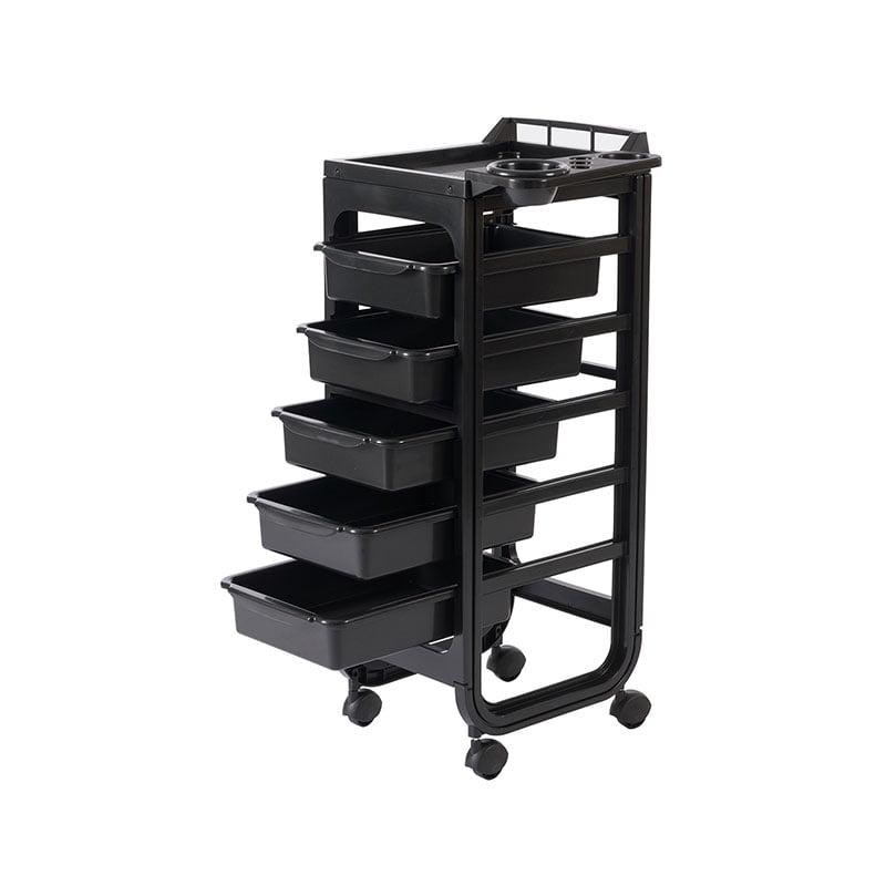 CHARIOT DE COLORATION N100