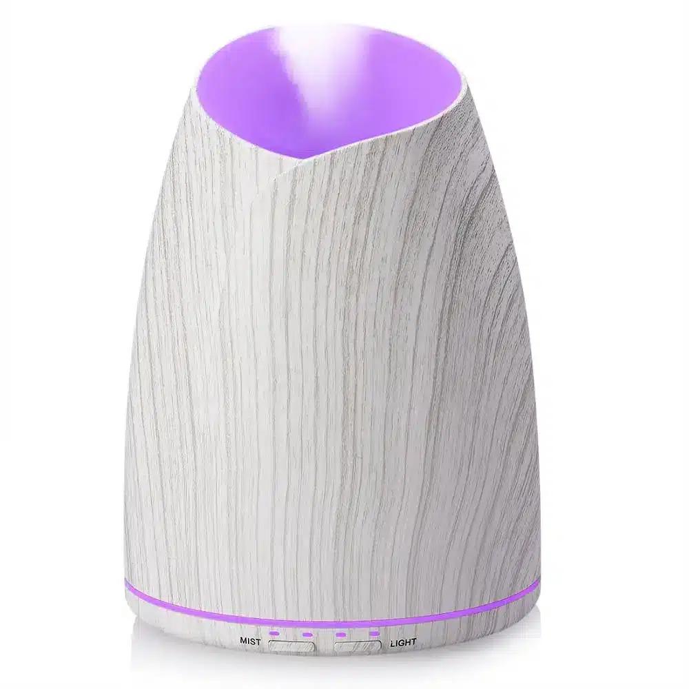 Diffuseur de Parfum Électrique Professionnel